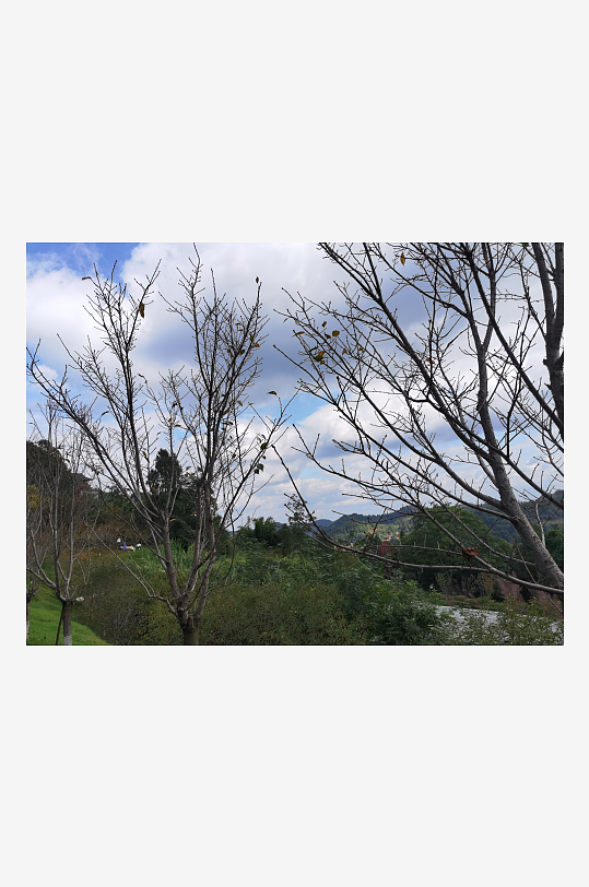 休闲生态公园环境-众图网