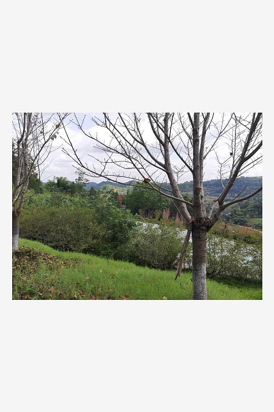 休闲生态公园环境-众图网