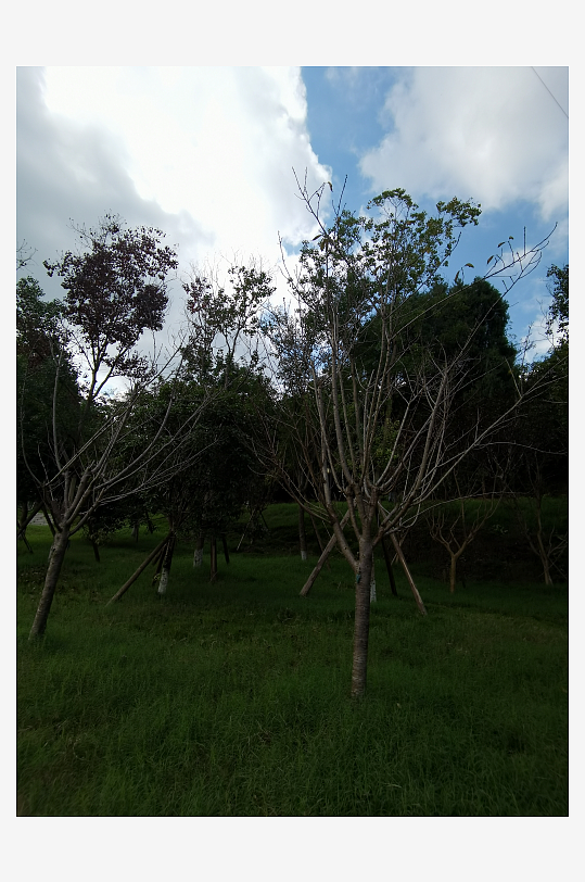 休闲生态公园环境-众图网