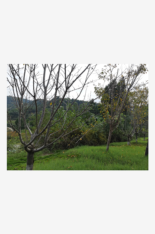 休闲生态公园环境-众图网