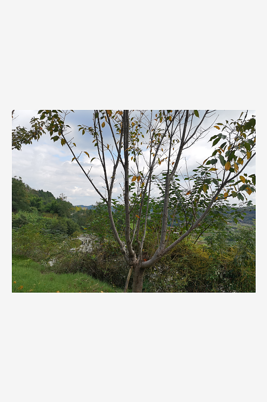 清新宜人的生态公园环境-众图网