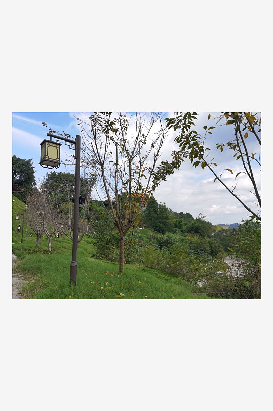 清新宜人的生态公园环境-众图网