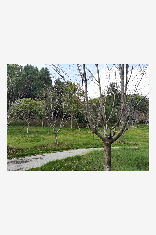 清新宜人的生态公园环境-众图网