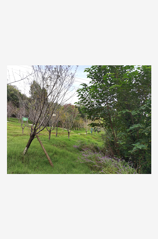 清新宜人的生态公园环境-众图网