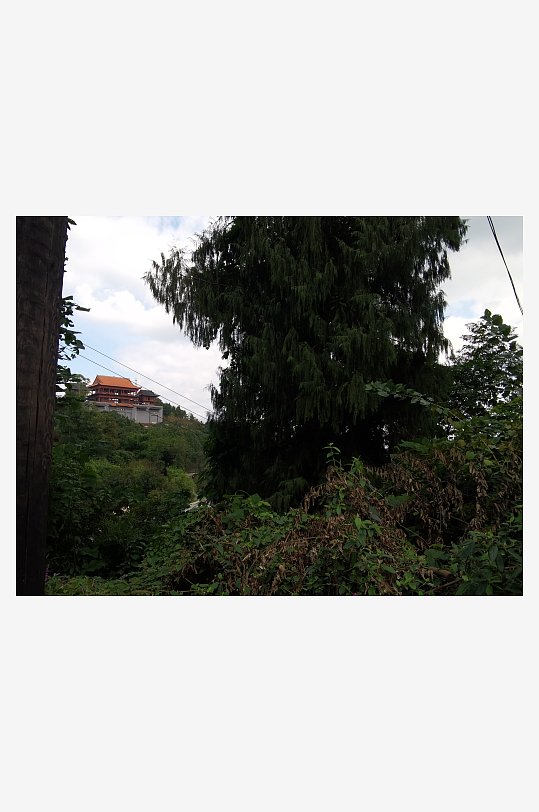 繁茂旺盛的花草树木-众图网