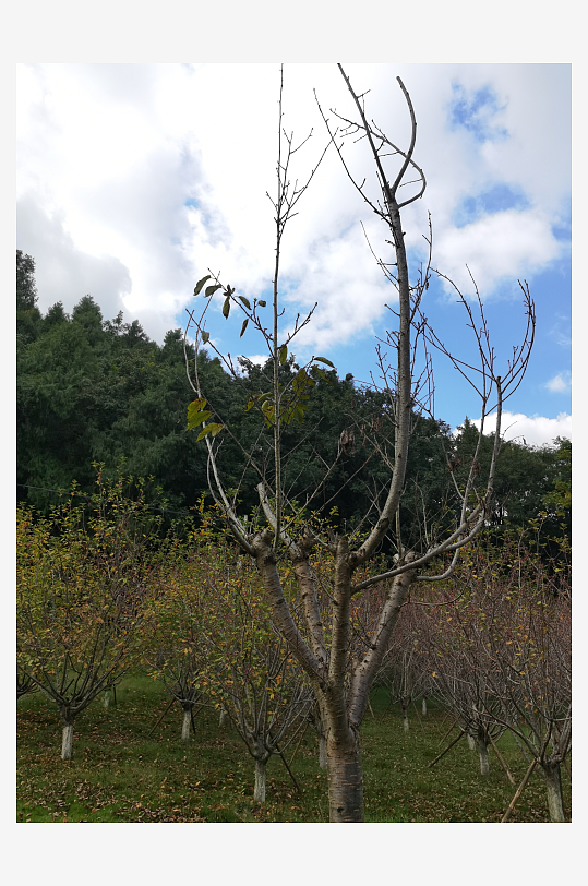 秋日里山间自然风光-众图网