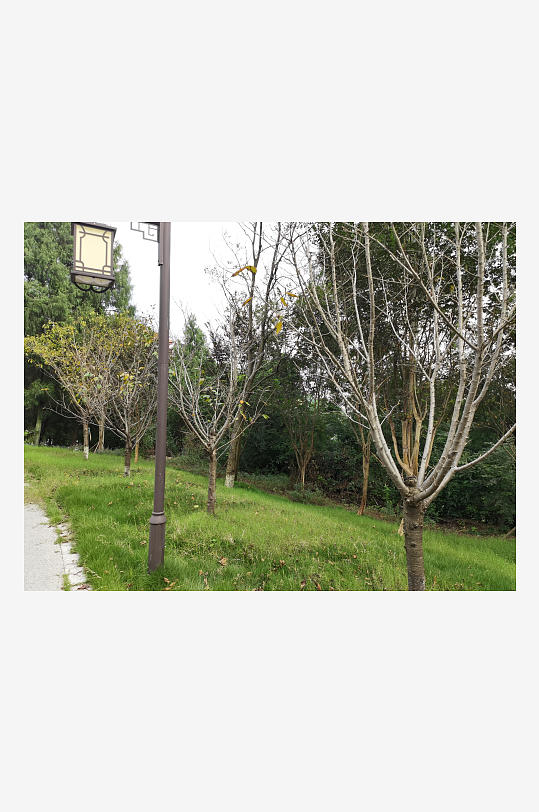 秋日里山间自然风光-众图网