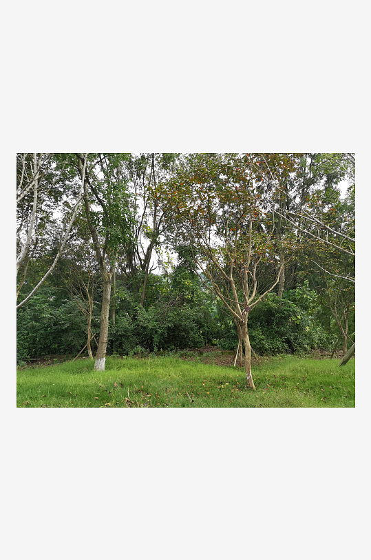 秋日里山间自然风光-众图网