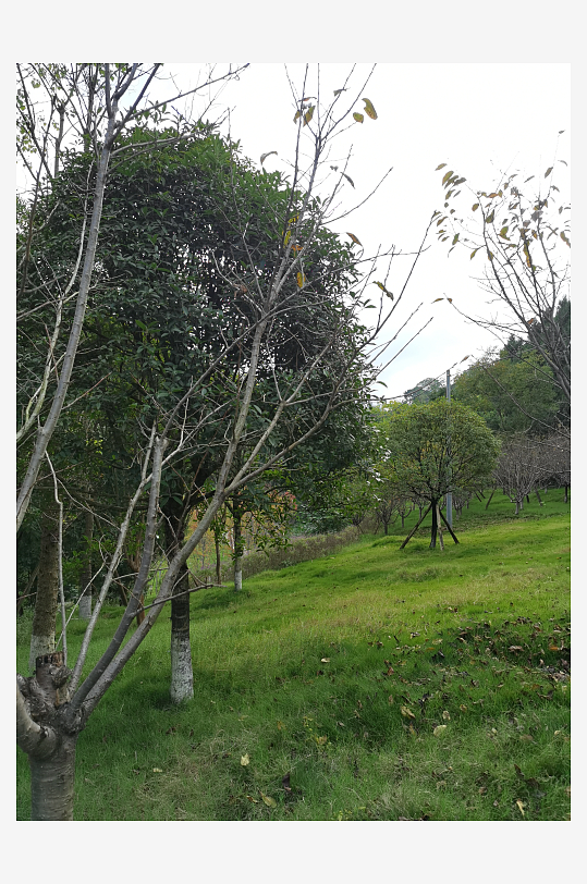 秋日里山间自然风光-众图网