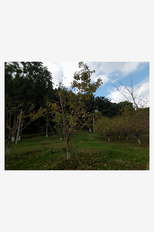 秋日里山间自然风光-众图网