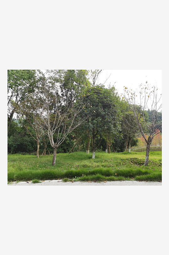 秋日里山间自然风光-众图网