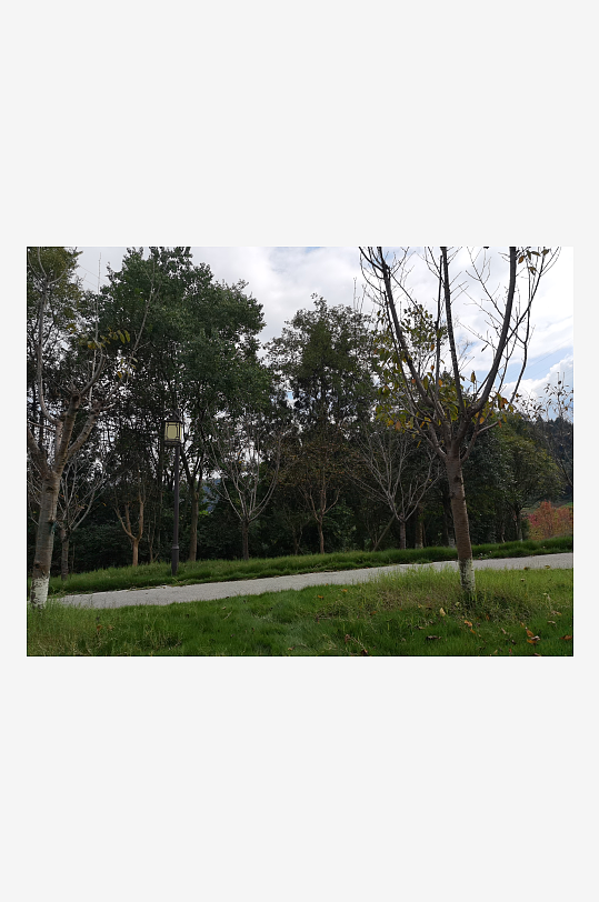 秋日储备山林风光-众图网