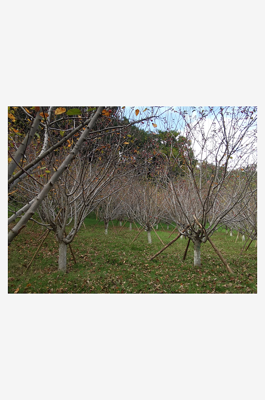 秋日储备山林风光-众图网