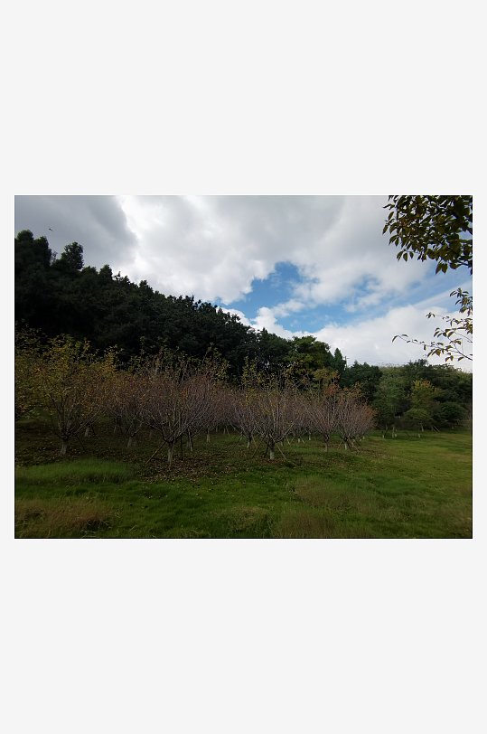 秋日储备山林风光-众图网