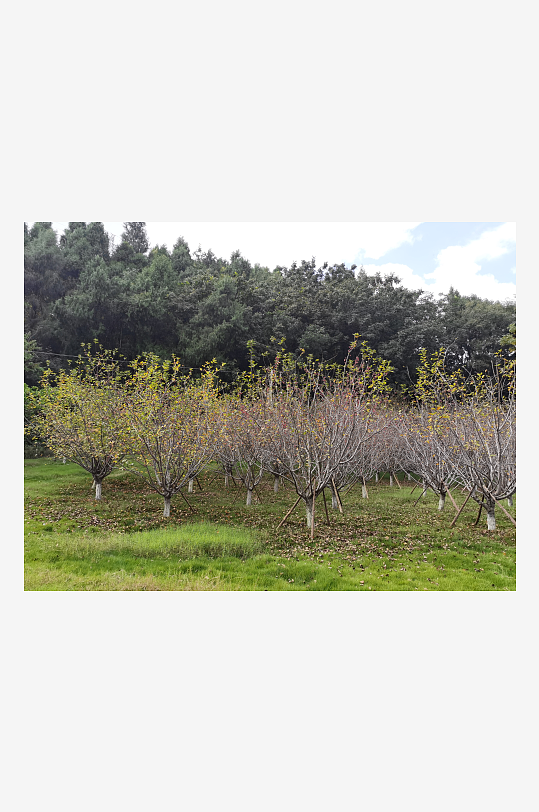 秋日储备山林风光-众图网