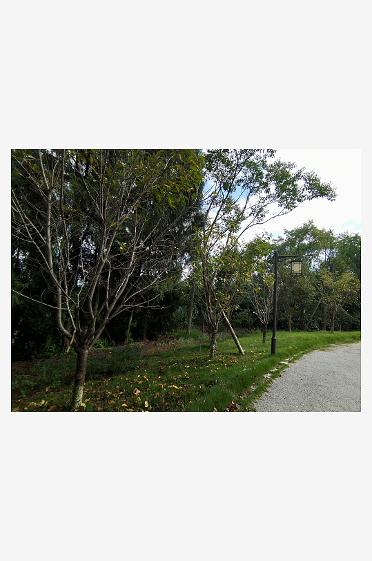 秋日储备山林风光-众图网