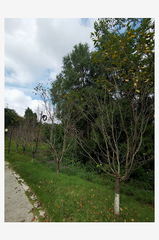 秋日储备山林风光-众图网