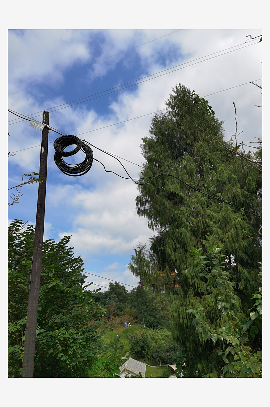 清新宜人的林间风光-众图网