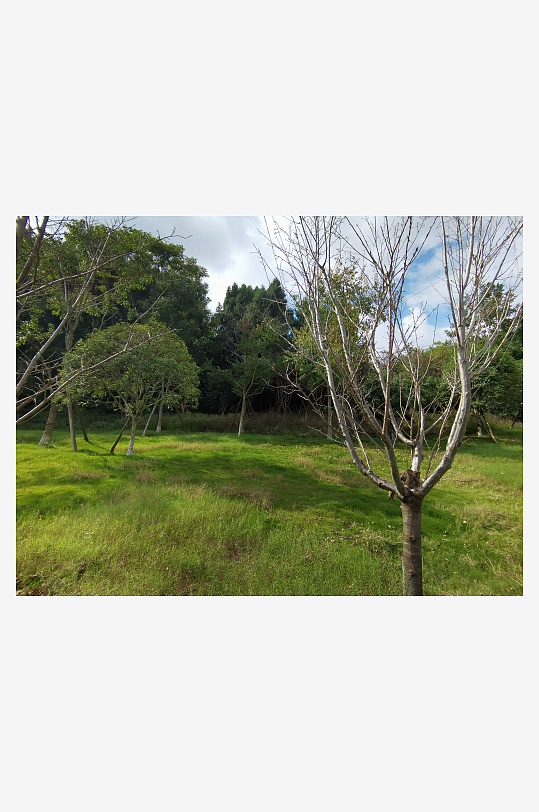 秋日里清新山林风光-众图网