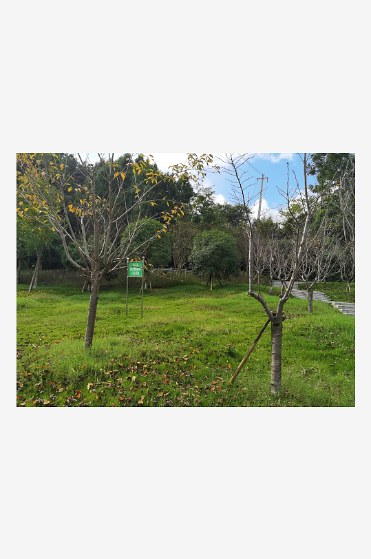 舒适宜人的林间风光-众图网