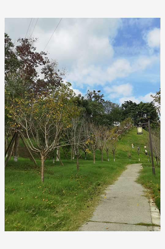 清新宜人的林间风光-众图网