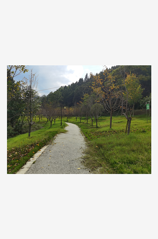 清新宜人的林间风光-众图网