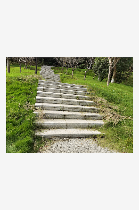 清新宜人的林间风光-众图网