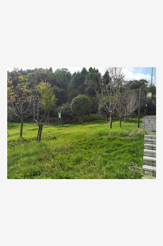 清新宜人的林间风光-众图网