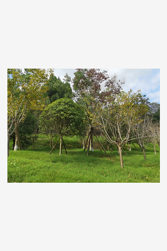 生态山林间的自然风光-众图网