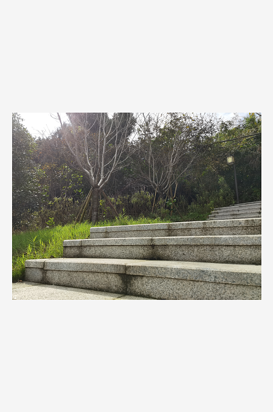 清新悠闲的林间风光-众图网