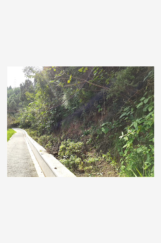 清新舒适的自然风光-众图网