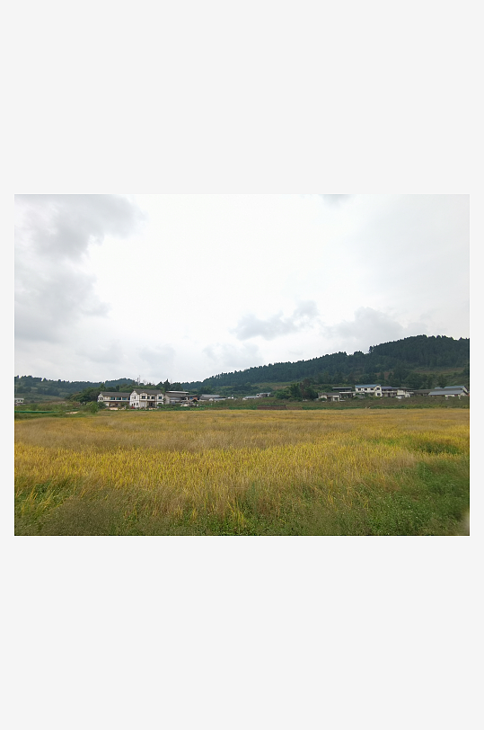 清新舒适的田园风光-众图网