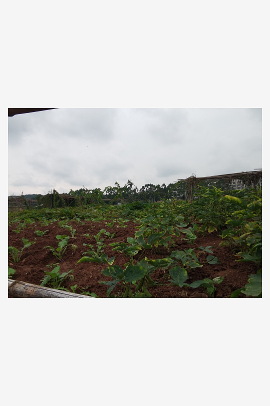 城郊萧条荒芜环境-众图网