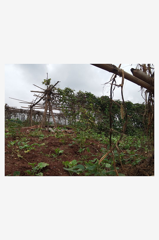 城郊萧条荒芜环境-众图网