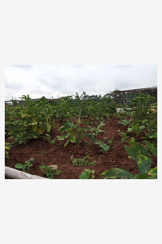 城郊萧条荒芜环境-众图网