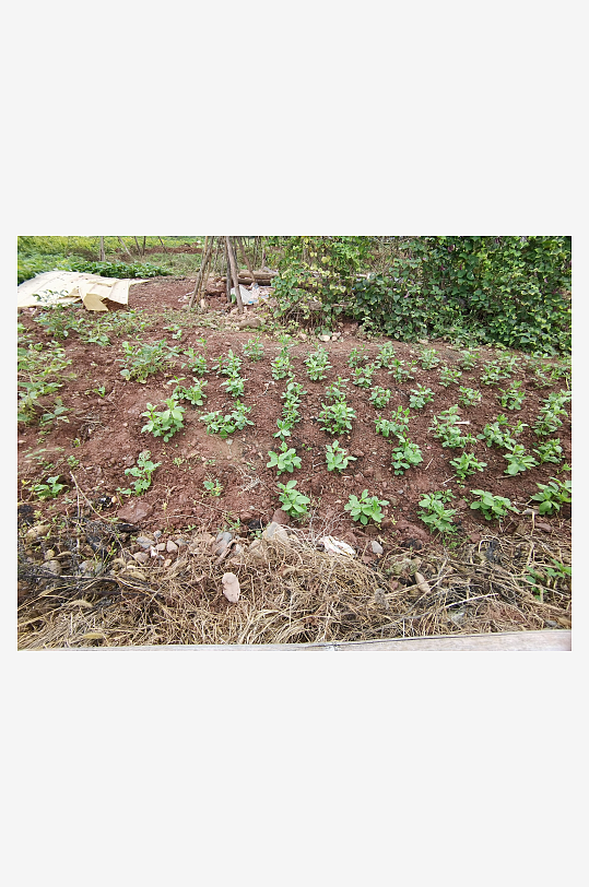 城郊萧条荒芜环境-众图网