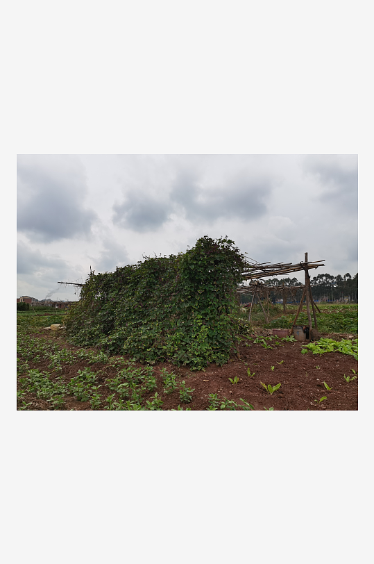 城郊萧条荒芜环境-众图网