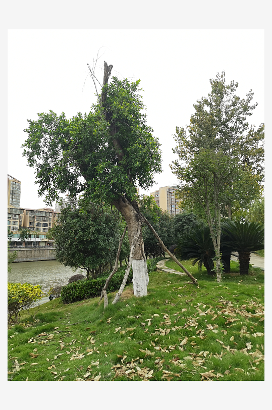 城市户外清新公园-众图网