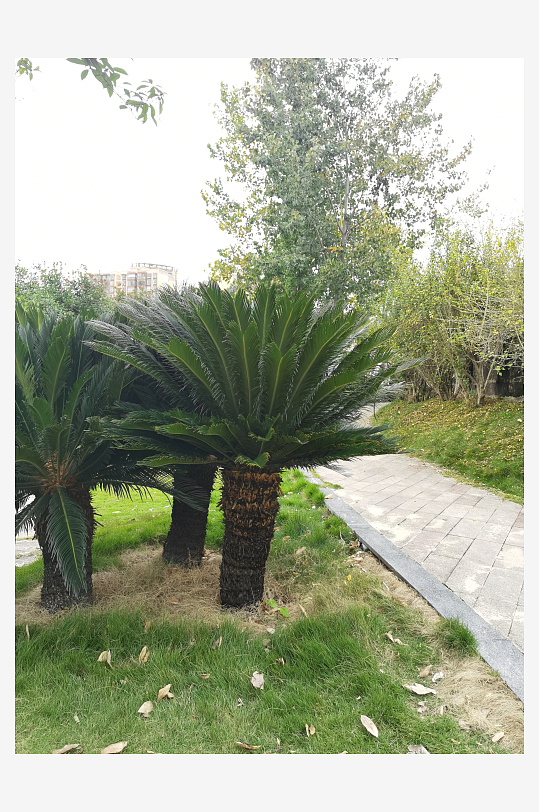 城市户外清新环境-众图网