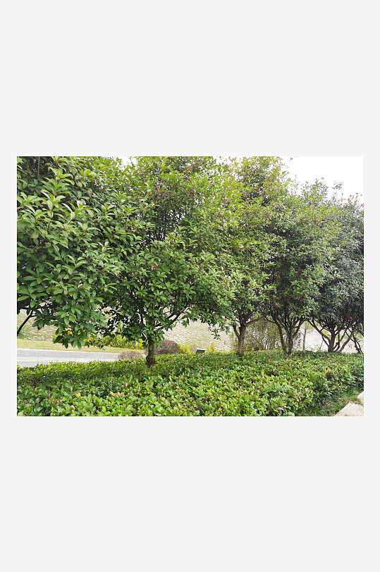 城市户外清新环境-众图网