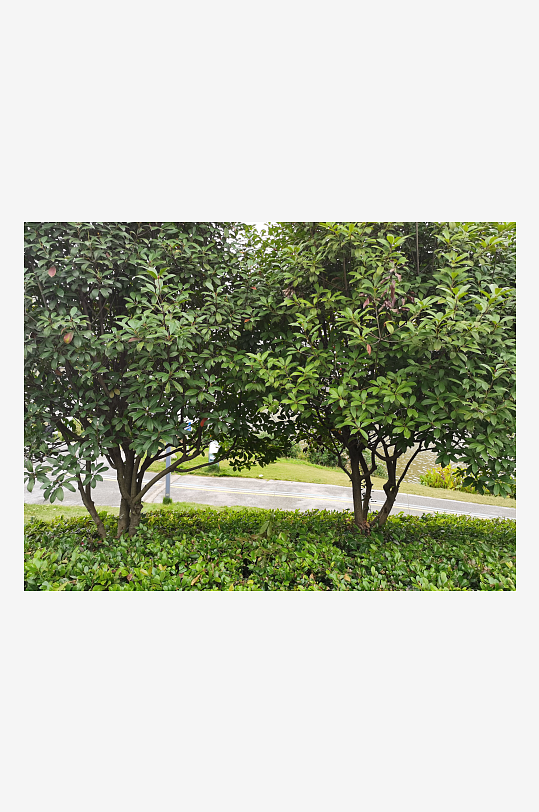 城市户外清新环境-众图网