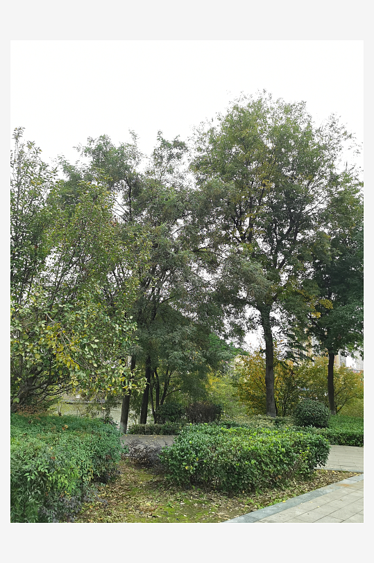 休闲城市舒适环境-众图网