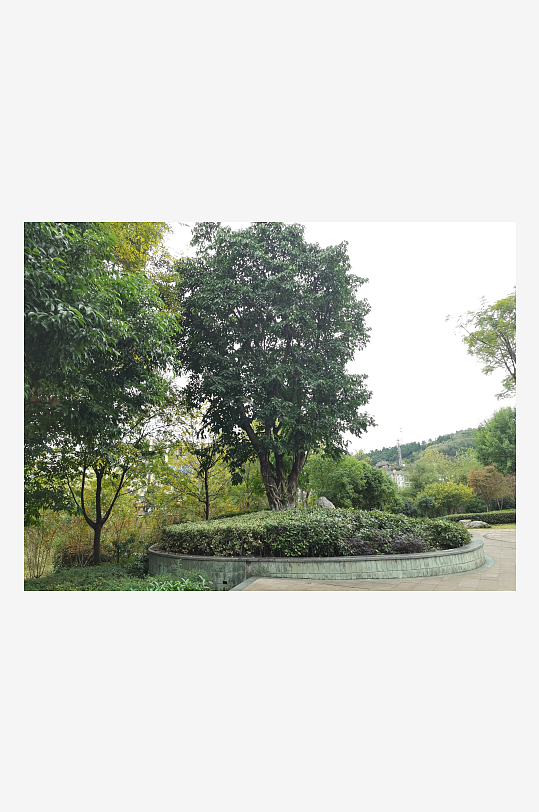 休闲城市舒适环境-众图网