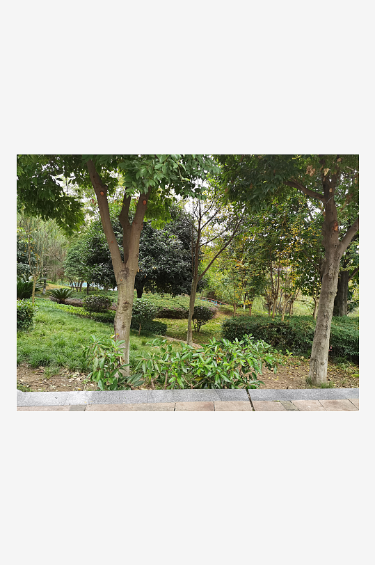 休闲城市舒适环境-众图网