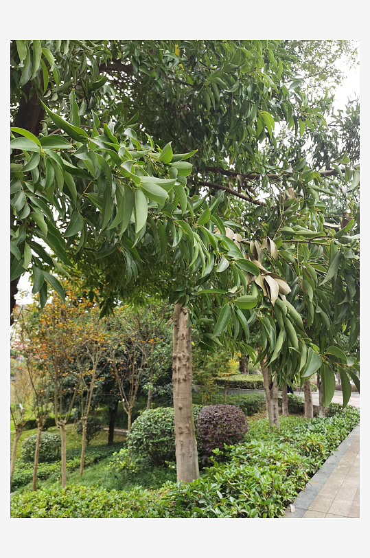 休闲城市户外风光-众图网