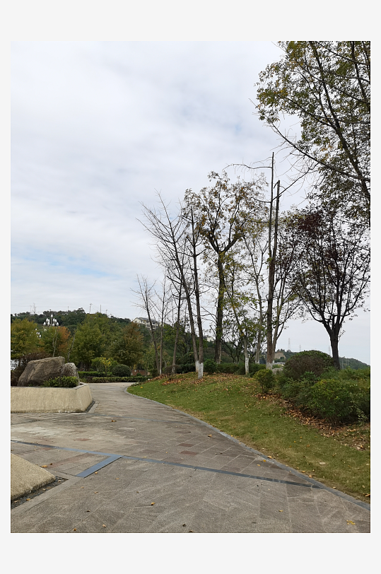 清新舒适的户外环境-众图网