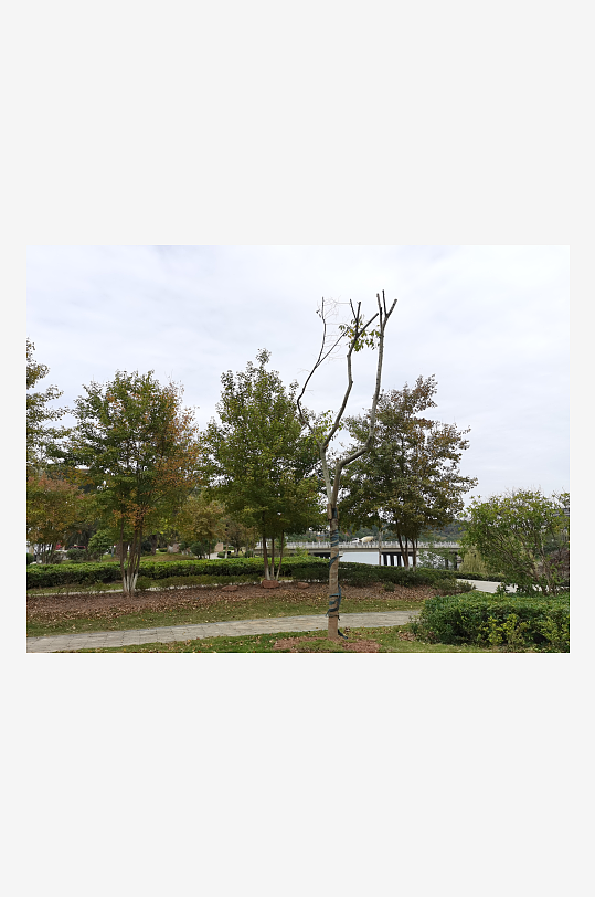 清新休闲的户外场所-众图网