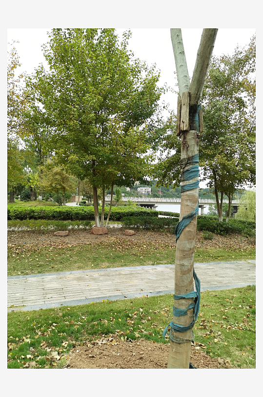 清新休闲的户外场所-众图网