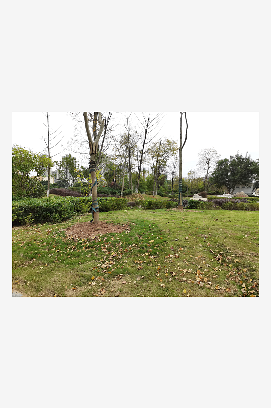 清新休闲的户外场所-众图网