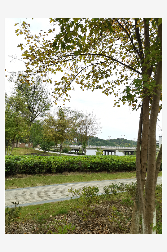 清新休闲的户外场所-众图网